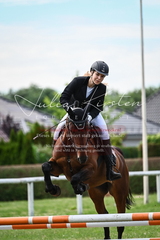 DSC_8657 | Pferde- und Turnierfotografie in Westsachsen. Pferdeportraits, Auftragszeichnungen und intuitive Kunst.