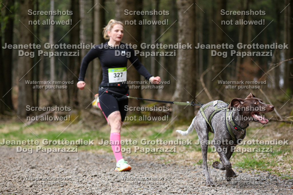 Dog Paparazzi - VCC26-462 | Dog Paparazzi Jeanette Grottendiek Fotografie & Videografie - Realisiert mit Pictrs.com