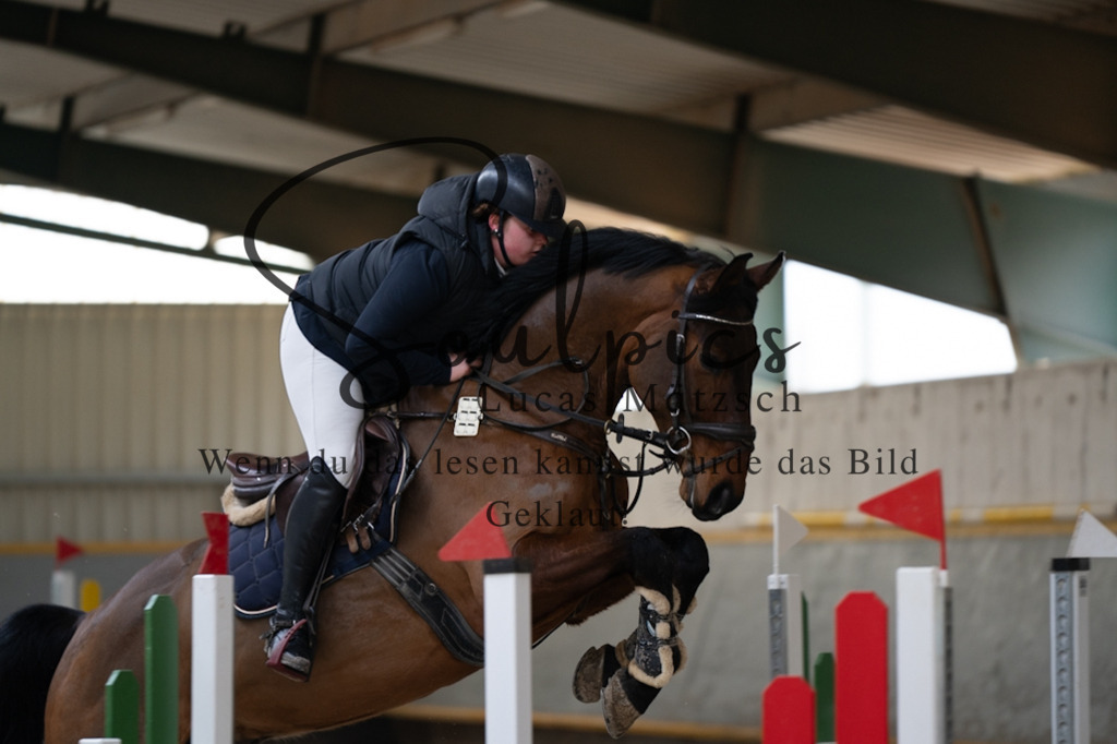 A7V03778 | Pferdefotograf