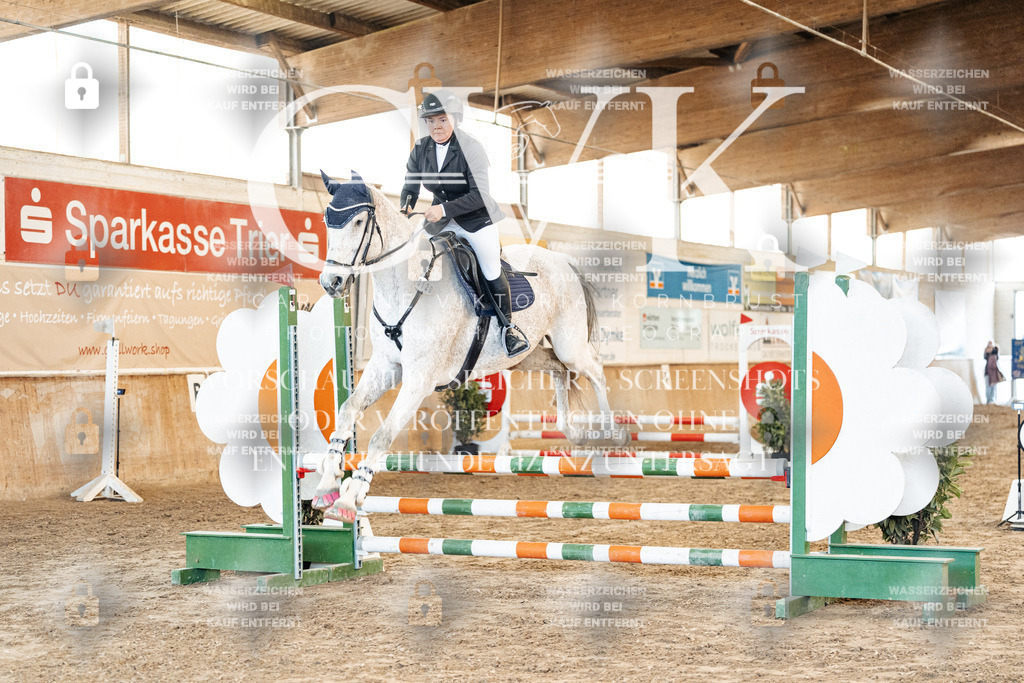 CK903936 | Turnierfotografie Pferdefotografie Trier Rheinland-Pfalz Pferdesport Reitsport Tierfotografie Sportfotografie Pferdevideo Pferdevideografie Equestrianvideography equestrianphotography  - Realisiert mit Pictrs.com