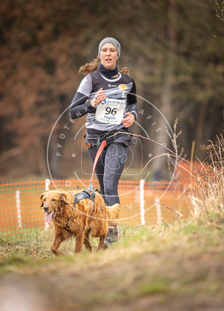 DV3A0539 | Hundefotografie, Tierfotograf, Pfotenfotografie, Fotoshooting Hund, Hunde Portrait, Hundesport, Hundeportraits, Heideshooting, Hunde, Sportfotograf, Hundefotograf, Turnierhundsport, THS,  - Realisiert mit Pictrs.com
