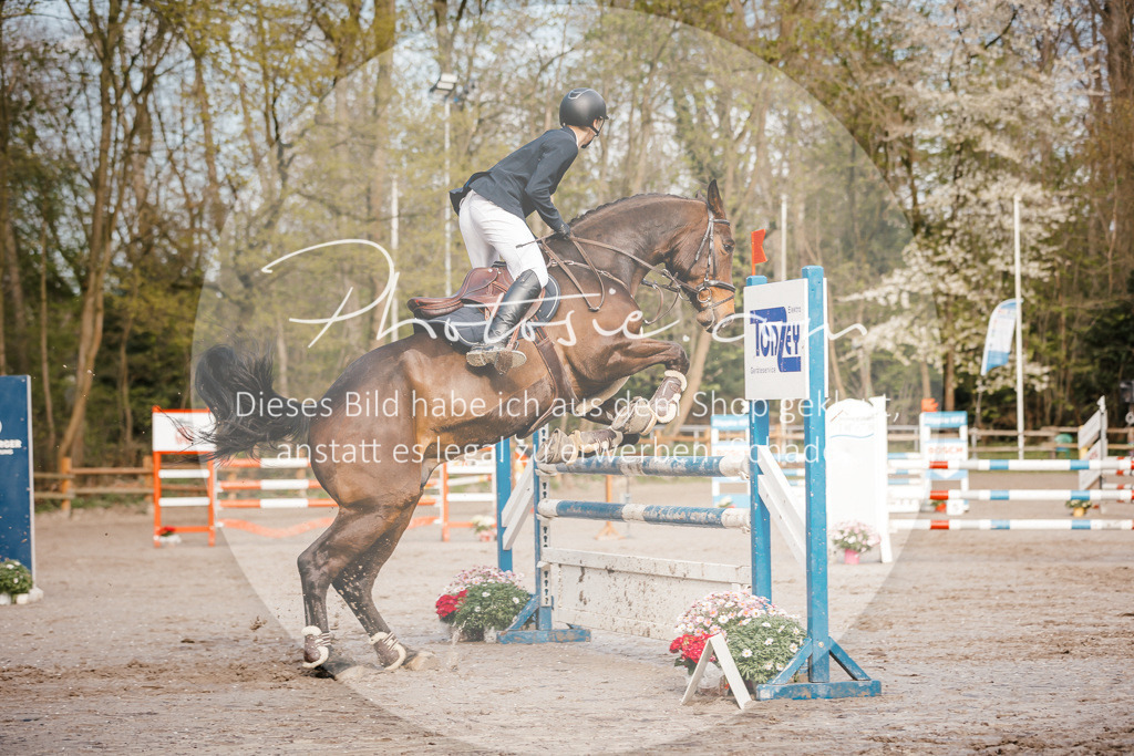 3I6A3405 | Stimmungsvolle Portraits und Reitsportfotografie im Ruhrgebiet und im Münsterland.

Pferdefotografie, Hundefotografie, Tierfotografie, Reportagen, Portraits von Tier und Mensch, Turnierfotografie in Bochum, Recklinghausen, Marl, Haltern am See, Dülmen.. - Realisiert mit Pictrs.com