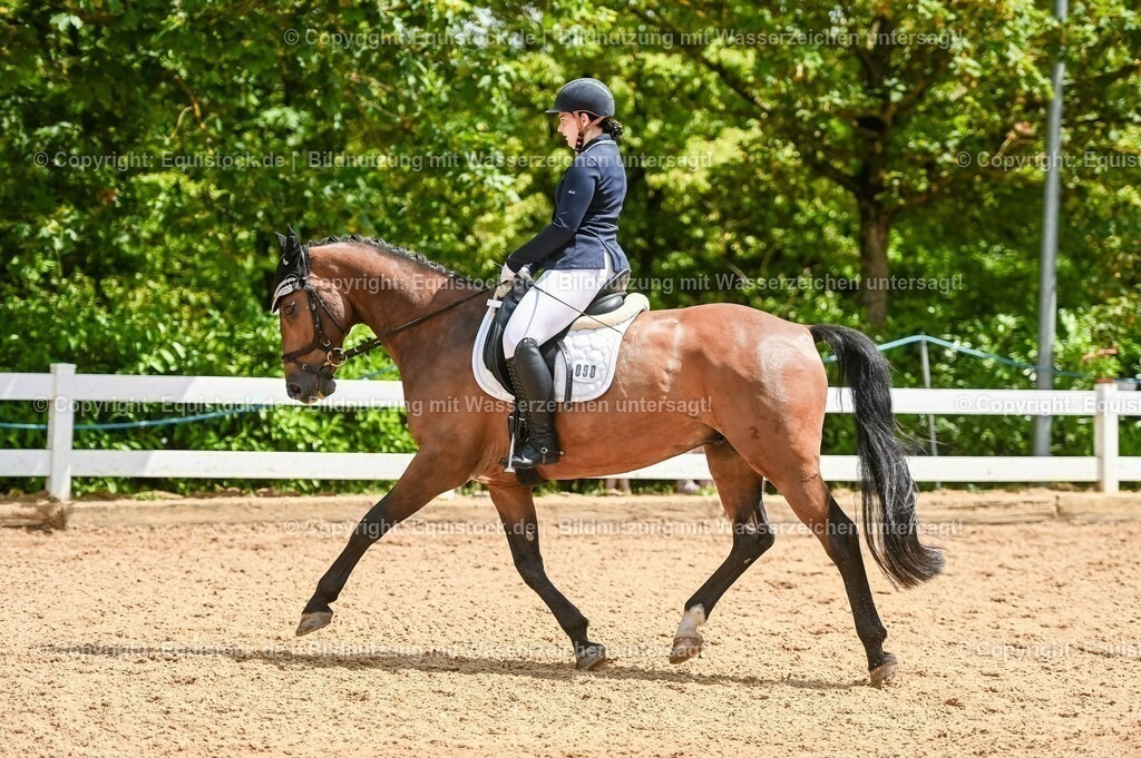 20230716_03_Dressurprfg. Kl.L - Tr._0669 | equistock