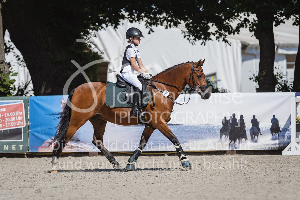 230610_Springreiter-WB-108 | Deine schönsten Turniermomente als professionelle Fotos! Entdecke hochwertige Pferdesport-Fotografie im Online-Shop. Jetzt Fotos finden & bestellen!