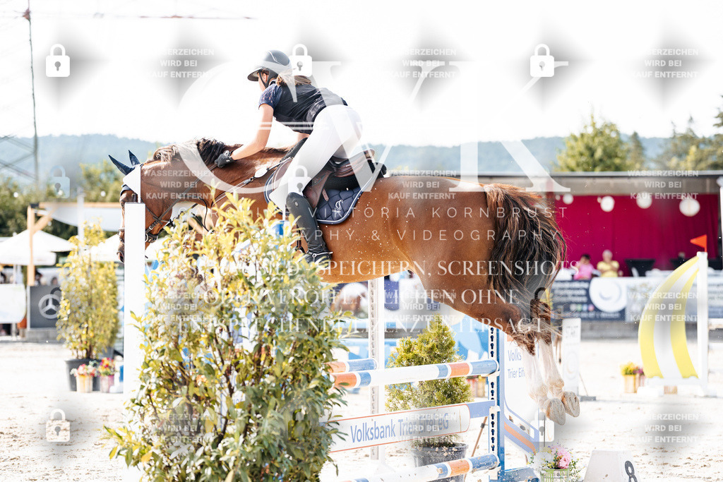 CK905719 | Turnierfotografie Pferdefotografie Trier Rheinland-Pfalz Pferdesport Reitsport Tierfotografie Sportfotografie Pferdevideo Pferdevideografie Equestrianvideography equestrianphotography  - Realisiert mit Pictrs.com
