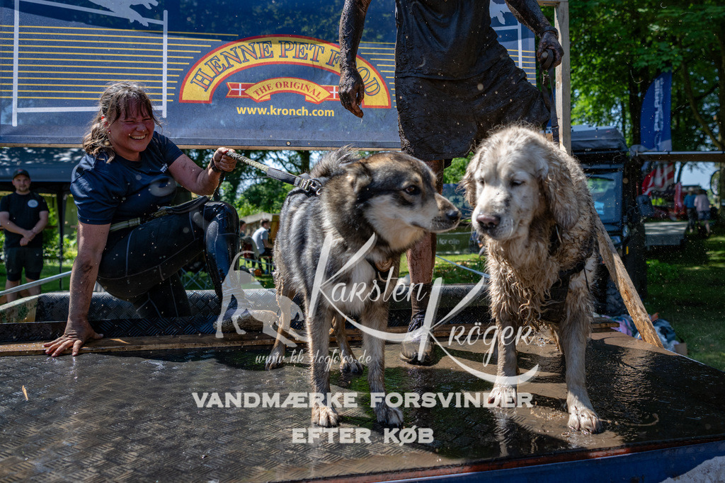 1251_ZZ90142 | kk-dogfotos