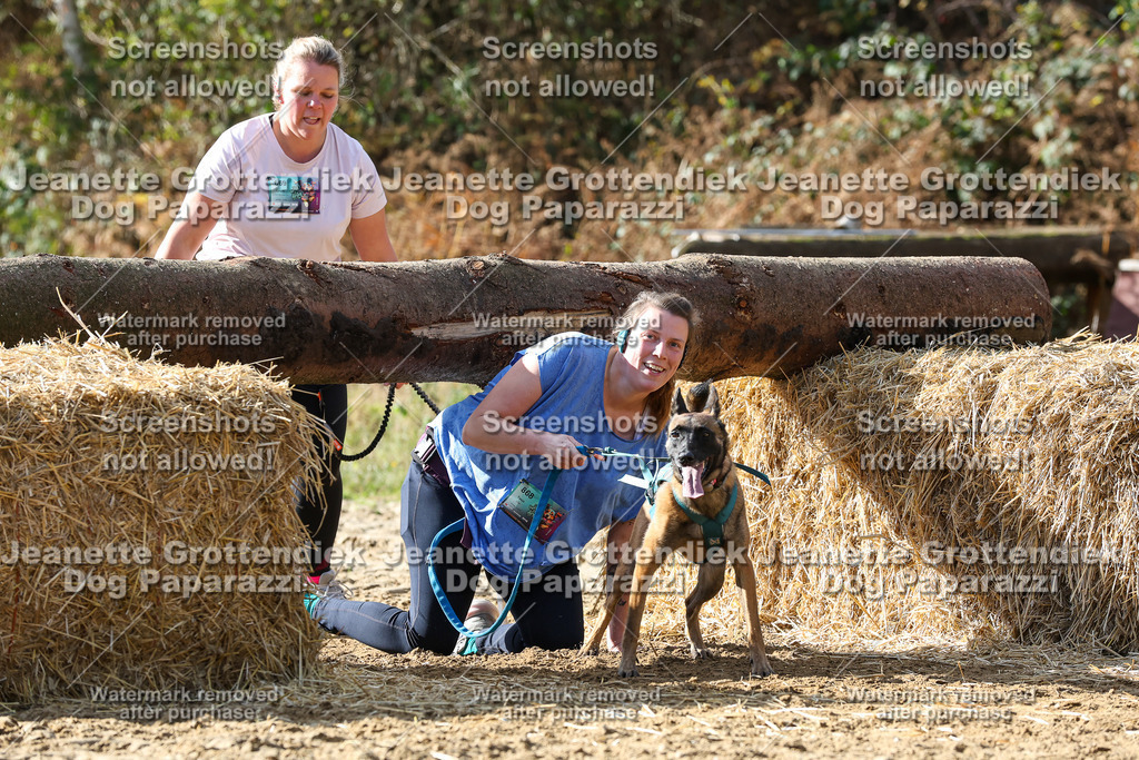 Dog Paparazzi - Strongdog 10-25-5461 | Dog Paparazzi Jeanette Grottendiek Fotografie & Videografie - Realisiert mit Pictrs.com