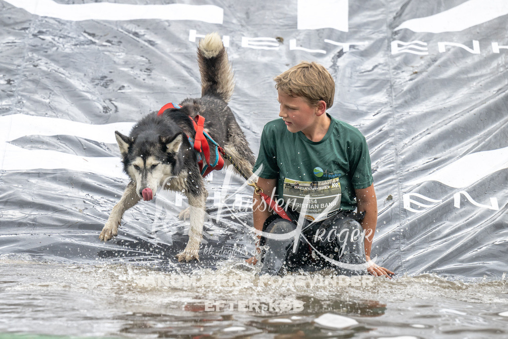 1414_ZZ94819 | kk-dogfotos