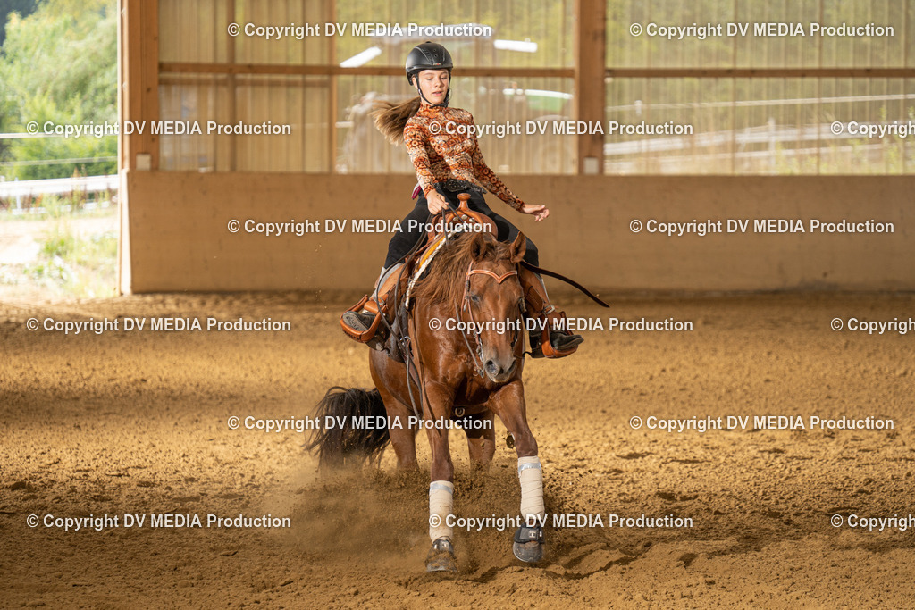 LAU01711 | dv-media-shop - Realisiert mit Pictrs.com