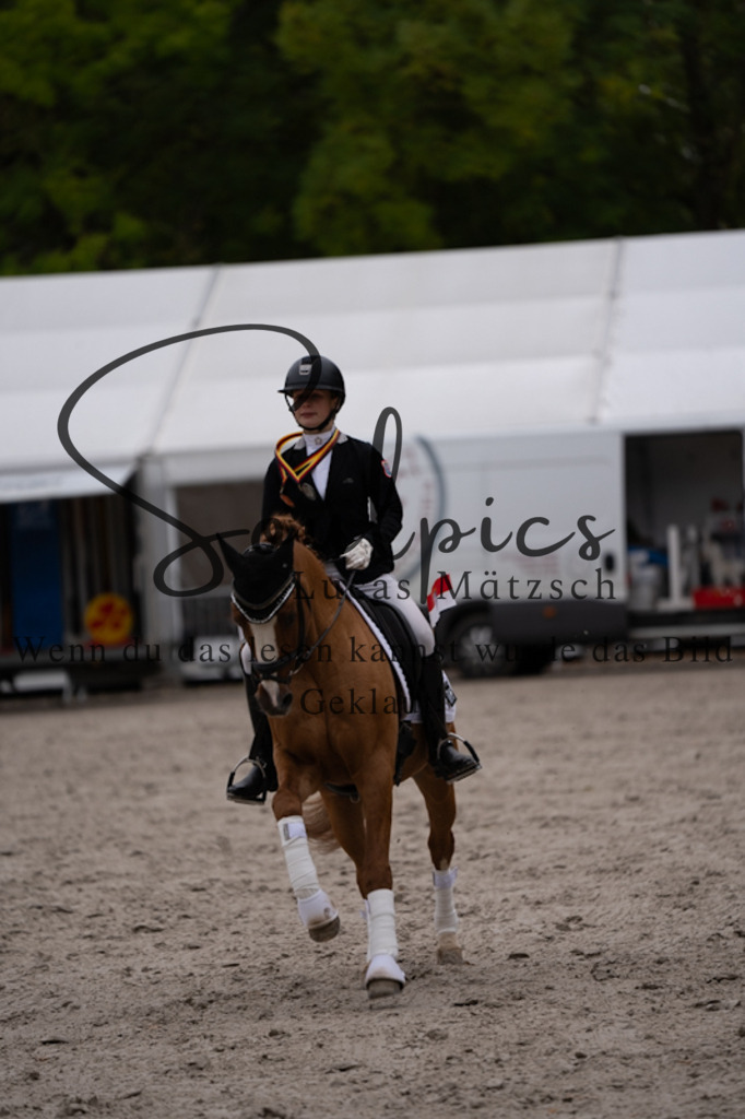 A7V01585 | Pferdefotograf