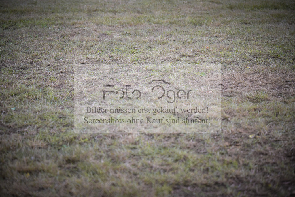 DOS_0223 | Entdecke hochwertige Reitturnierfotos von Foto Oger. Professionell, emotional und authentisch – jetzt Lieblingsmomente im Shop bestellen.Deutschlandweite Turnierfotografie. - Realisiert mit Pictrs.com