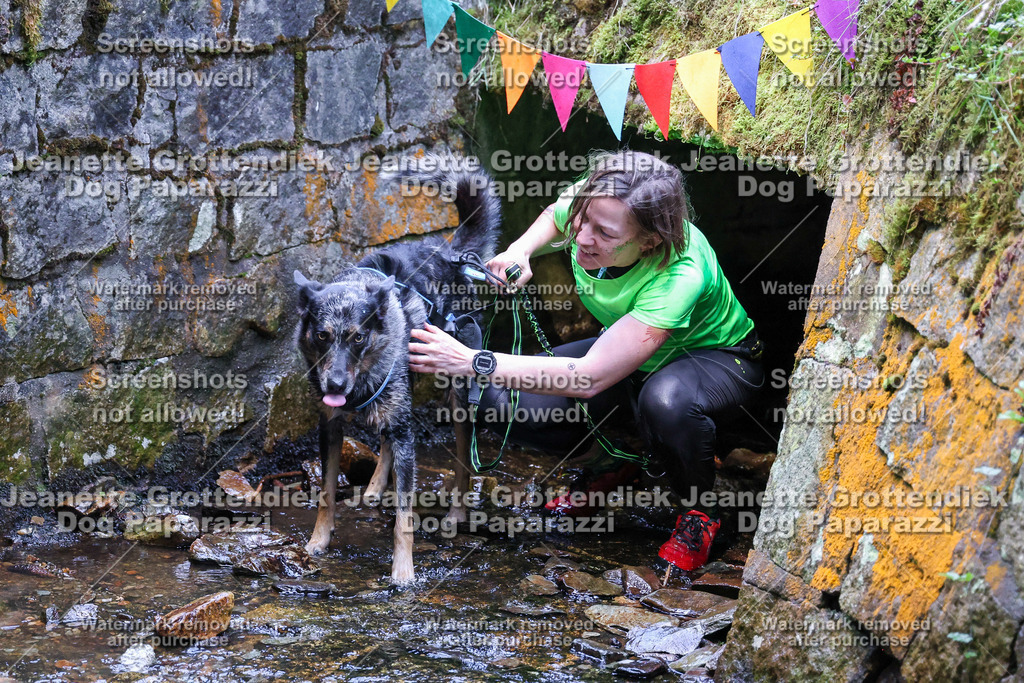 Dog Paparazzi -  TH 26-521 | Dog Paparazzi Jeanette Grottendiek Fotografie & Videografie - Realisiert mit Pictrs.com
