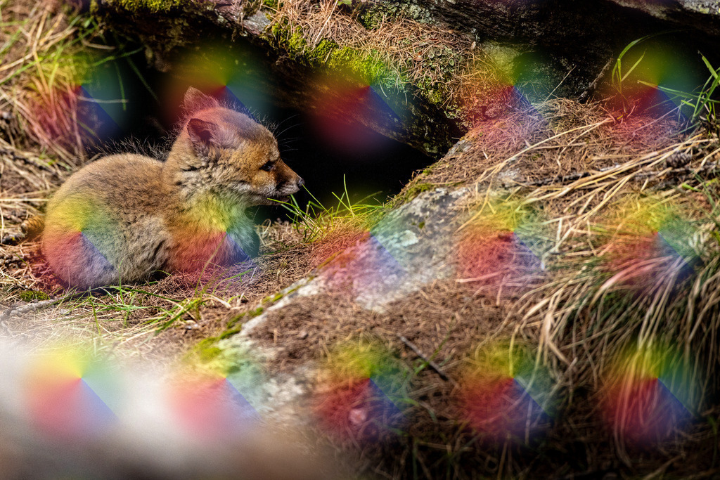 1M5A9748 | FineArtPrint, Hahnemühle, FeeGalerie, Fee Galerie, Fotokunst, Fotografie, Canonphotography, Bergfoto, Matterhorn, Rimpfischhorn, Allalinhorn, Saas-Fee, Wallis, Valais, Switzerland, Bergfotografie