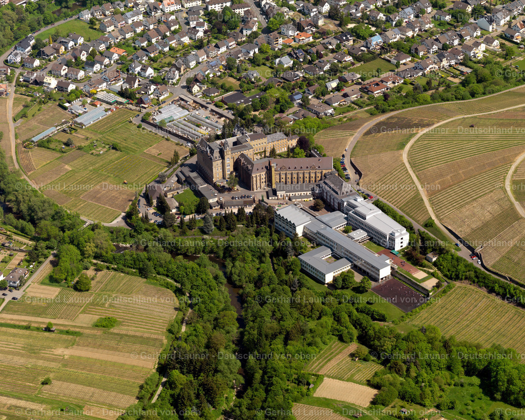 3102174 | Kloster Kalvarienberg, Ahrweiler