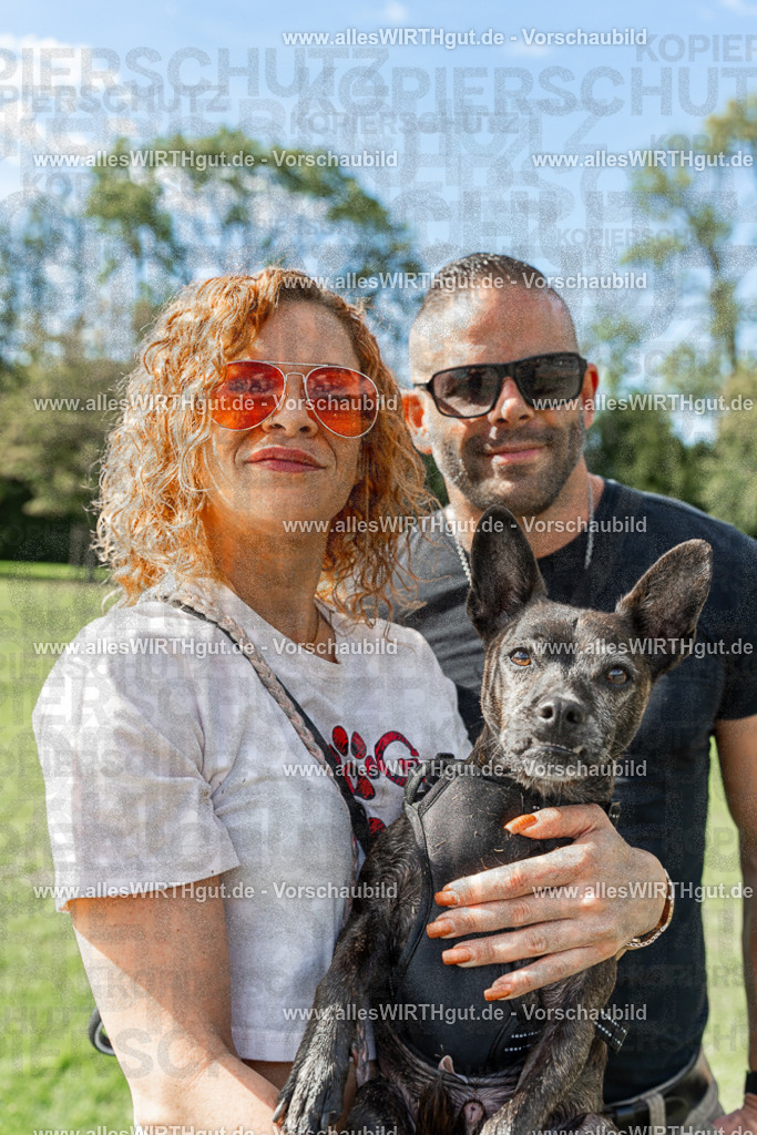 Hundeschwimmen_Volksbad_2026-allesWIRTHgut_Tierfotografie-2609061529-7R501571-2 | Professionelle Tierfotografie in Mönchengladbach von Daniel Wirth (allesWIRTHgut). Liebevolle & natürliche Bilder von Hunden & Katzen für unvergessliche Erinnerungen.