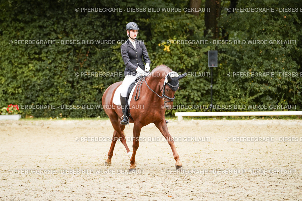 DSC00485 | Pferdegrafie