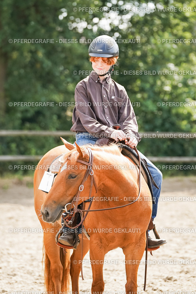 DSC05056 | Pferdegrafie