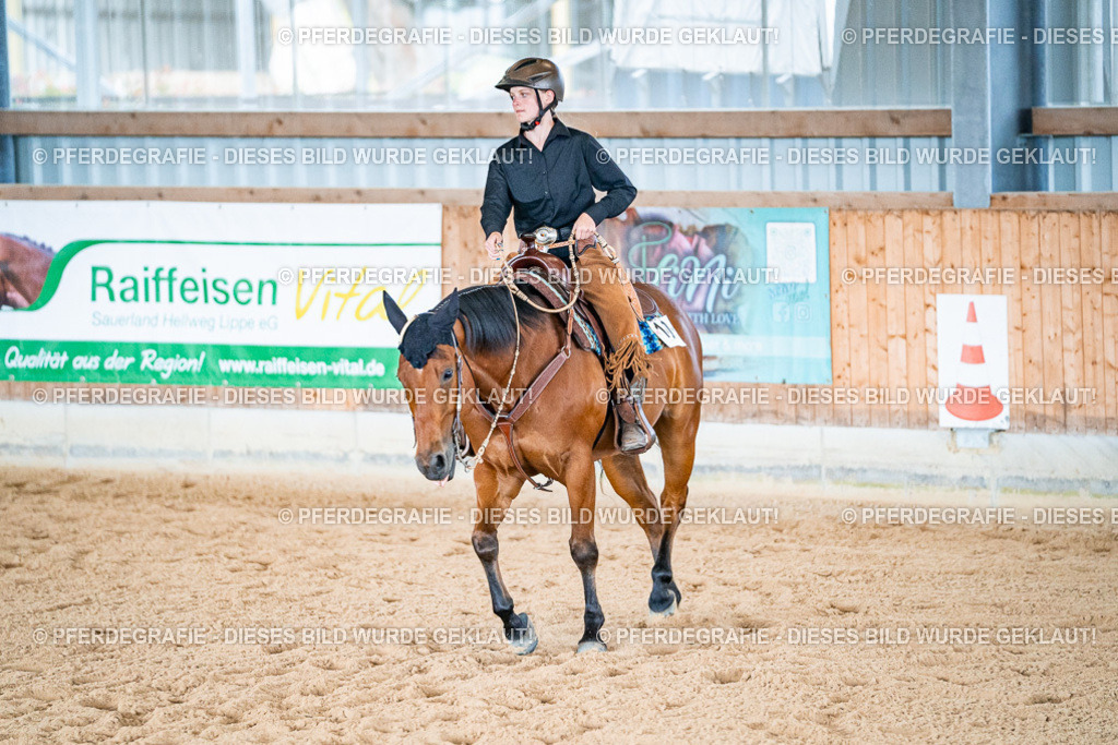 DSC09503 | Pferdegrafie