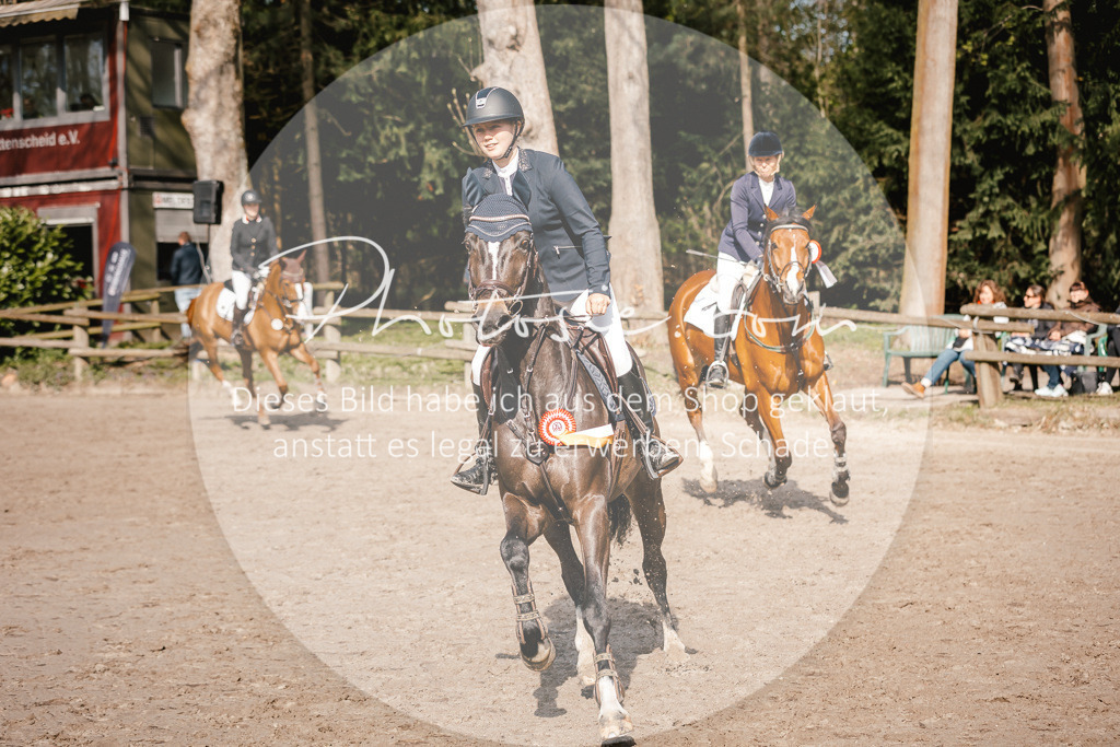 3I6A3816 | Stimmungsvolle Portraits und Reitsportfotografie im Ruhrgebiet und im Münsterland.

Pferdefotografie, Hundefotografie, Tierfotografie, Reportagen, Portraits von Tier und Mensch, Turnierfotografie in Bochum, Recklinghausen, Marl, Haltern am See, Dülmen.. - Realisiert mit Pictrs.com