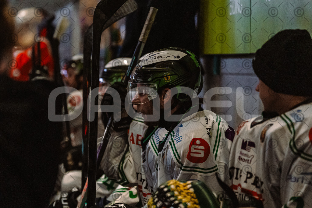 Erding_vs_Alligators_02_01_2026-35 | Höchstadt Alligators Fotogalerie: Eishockey-Action aus Franken. Professionelle Spielfotos, Portraits & Stadionbilder zum Download. Jetzt entdecken! - Realisiert mit Pictrs.com