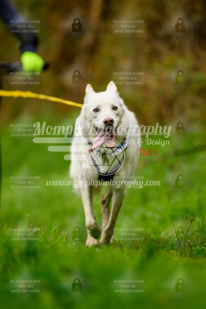 MompixPhotography_20TSB_E8_Bike-53 | PayLife