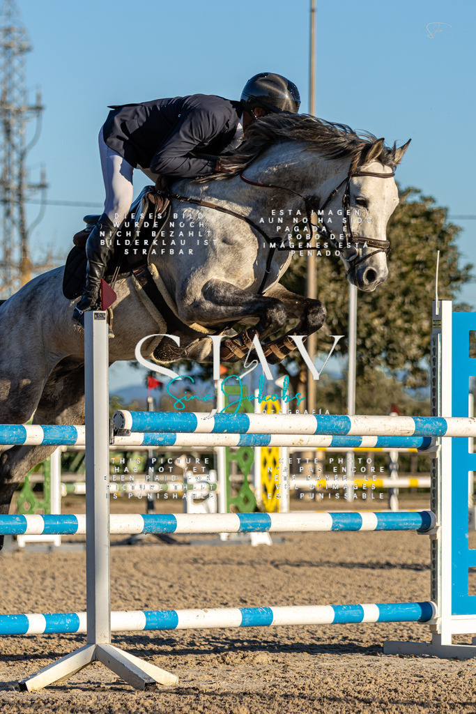 IMG_2559 | s-jay-photography - Realisiert mit Pictrs.com