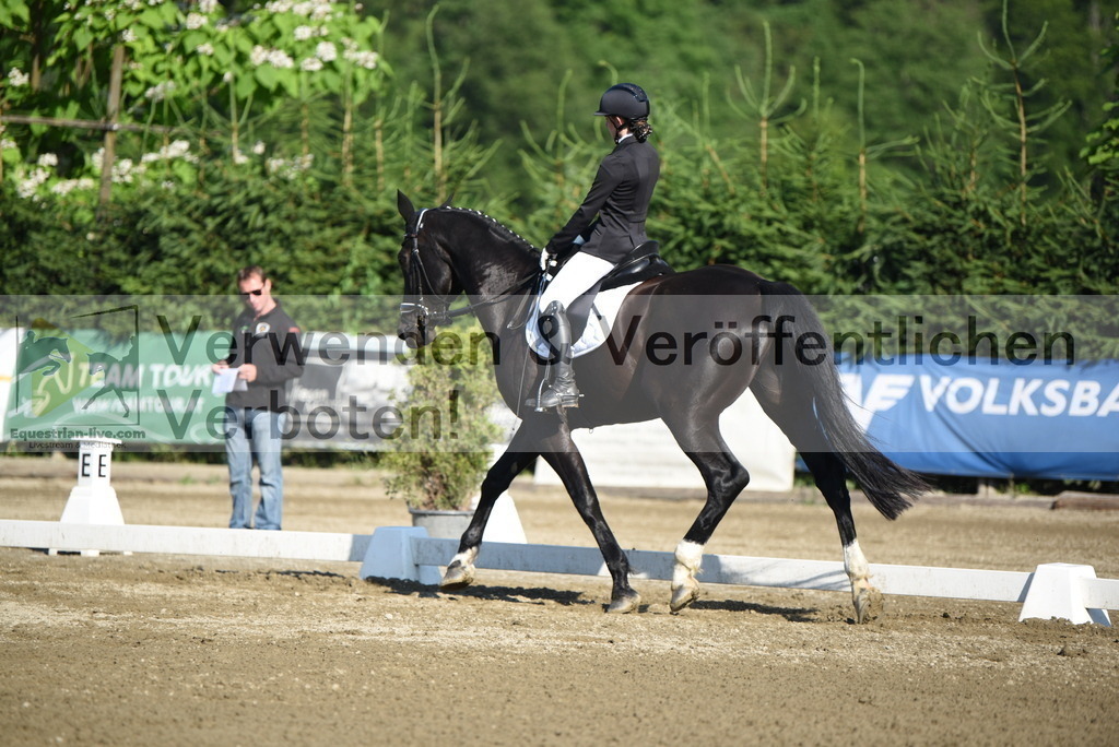 DSC_6948 | equestrian-live-com