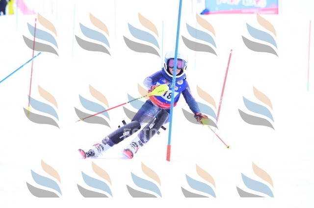 B2174 | holidayphoto