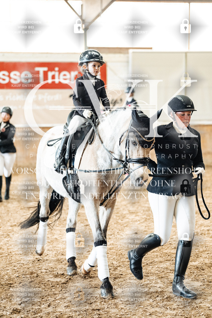 CK906148 | Turnierfotografie Pferdefotografie Trier Rheinland-Pfalz Pferdesport Reitsport Tierfotografie Sportfotografie Pferdevideo Pferdevideografie Equestrianvideography equestrianphotography  - Realized with Pictrs.com