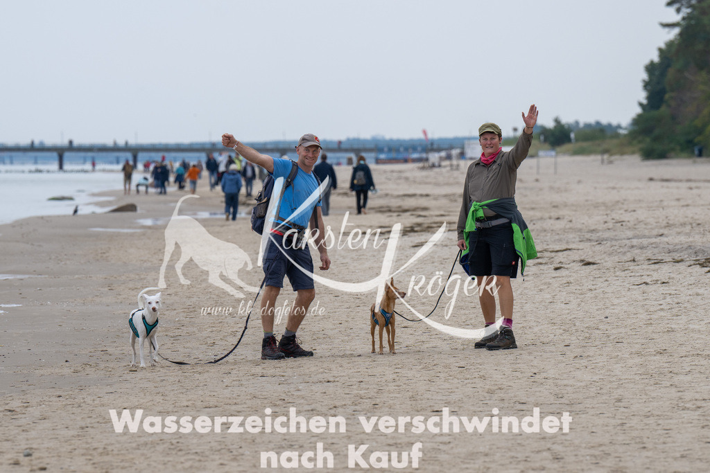 1307_ZZ93517 | kk-dogfotos