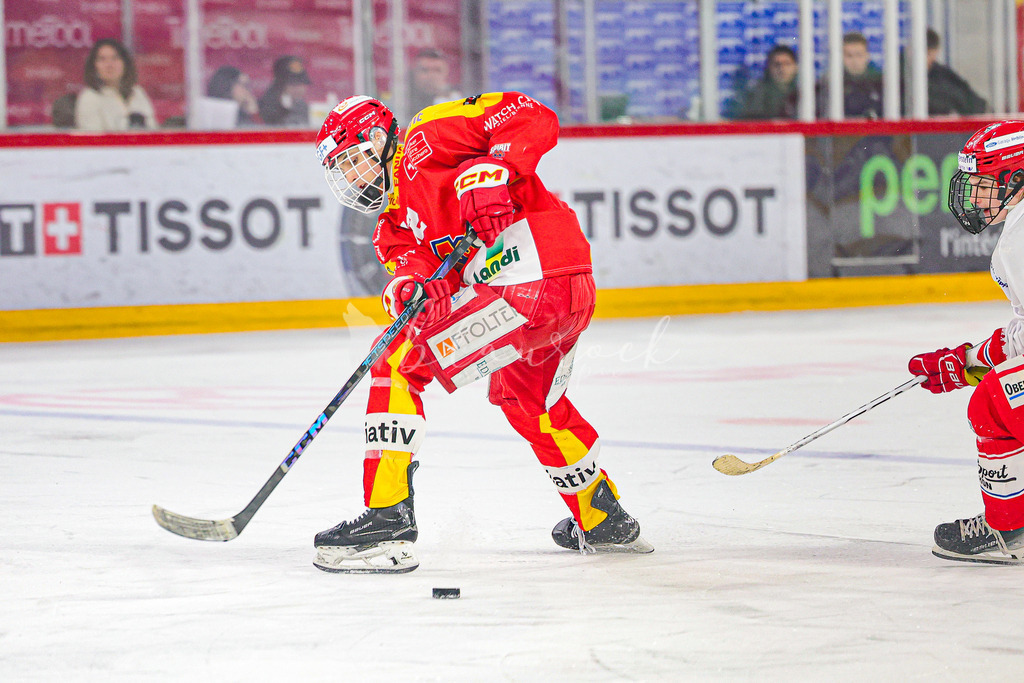 0316_WB_EHCB vs SCRJL_1194 | Sportbilder, Sportfotograf, Hochzeits- und Eventfotografin, Flugshows, Portraits und Tiershooting, Aviation, Downhill, Nationalleague, Swissleague, International
