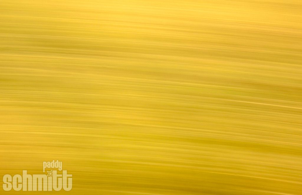 PS-Blur-2026-27 | Entdecke die größte Bildgalerie der Region mit Fotografien aus dem Allgäu, der Bodenseeregion, Oberschwaben, dem Donautal und der Schwäbischen Alb. Landschaften, Luftaufnahmen und Reisefotografie als Wandbild und Fotokunst. - Realisiert mit Pictrs.com