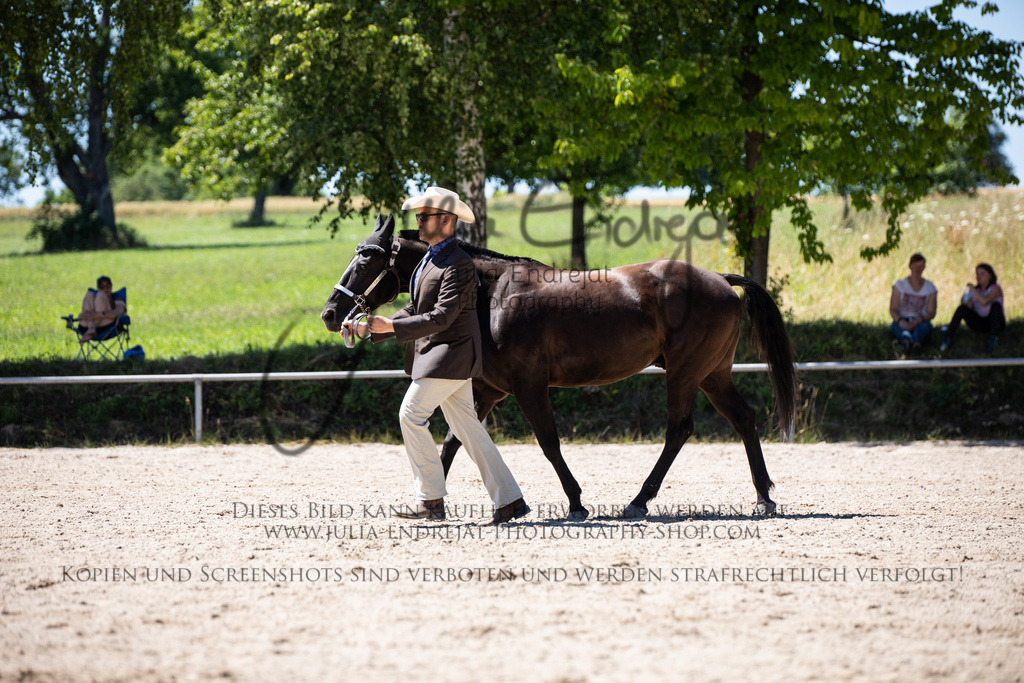 20220702-JuliaEndrejatPhotography-1437 | Julia Endrejat Photography