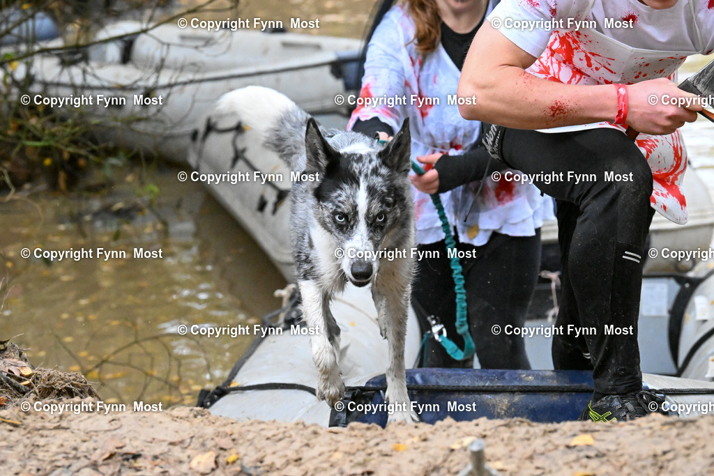 DSC_6353 | Hallo und herzlich Willkommen auf meiner Shop-Seite Fynn Most.

Ich wünsche Dir viel Spaß beim stöbern durch die Bilder, wenn Du Fragen hast oder Bilder vermisst, kannst du mir gerne eine Nachricht schreiben. - Realisiert mit Pictrs.com