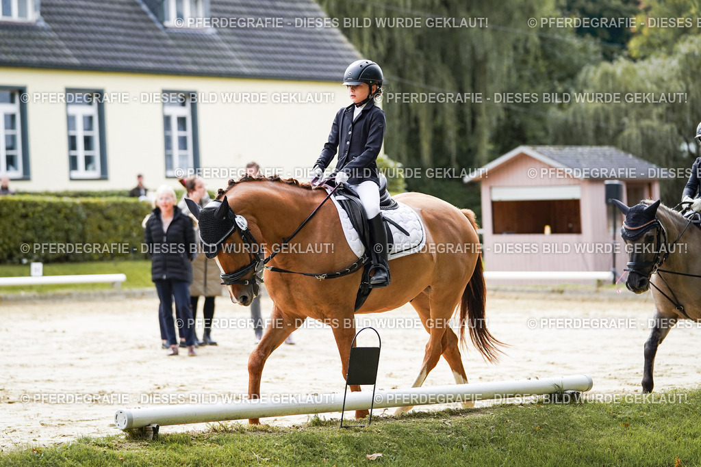 DSC05253 | Pferdegrafie