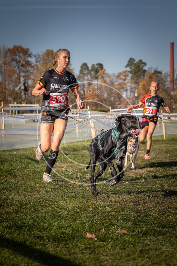 CaniXpix_0L8A8390 | Hundefotografie, Tierfotograf, Pfotenfotografie, Fotoshooting Hund, Hunde Portrait, Hundesport, Hundeportraits, Heideshooting, Hunde, Sportfotograf, Hundefotograf, Turnierhundsport, THS,  - Realisiert mit Pictrs.com