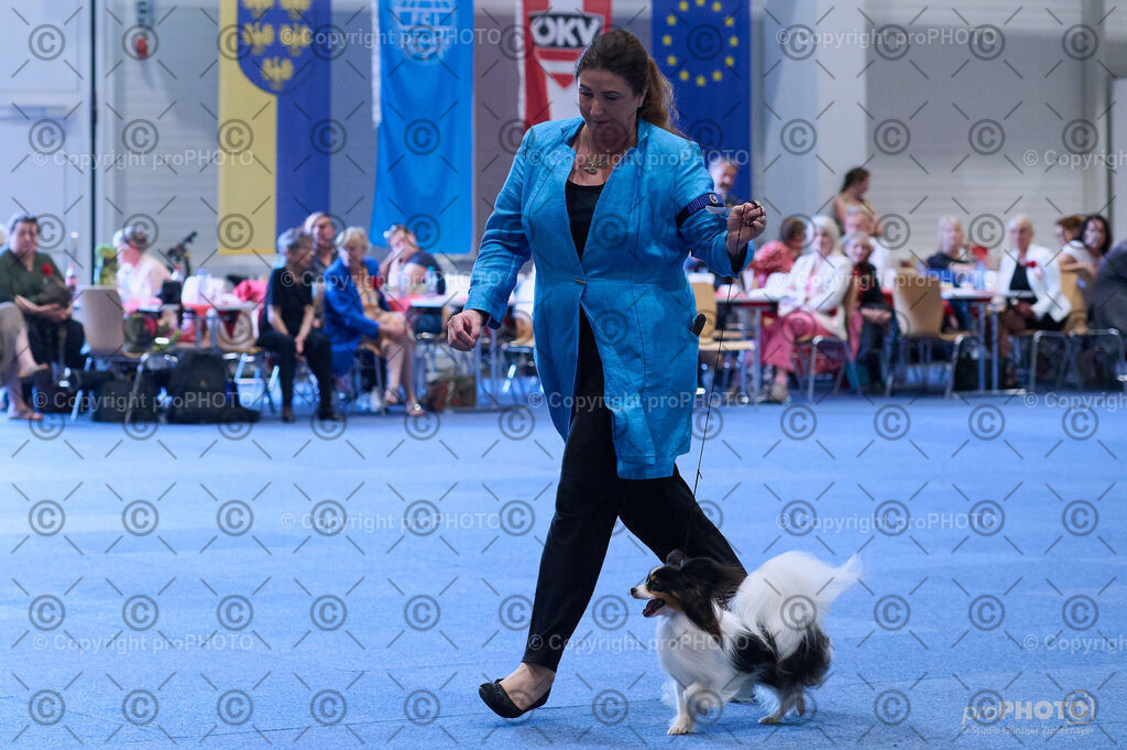 202406_ÖKV-IHA-Tulln24_DSC_4211 | proPHOTO - Realisiert mit Pictrs.com