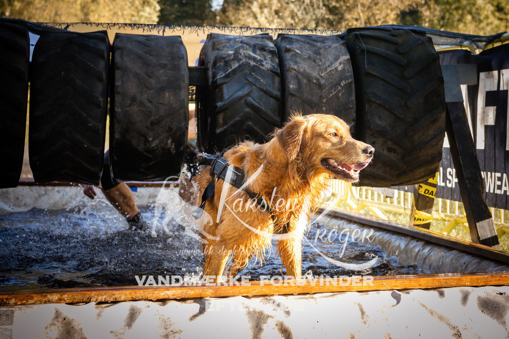0933_ZZ91339 | kk-dogfotos