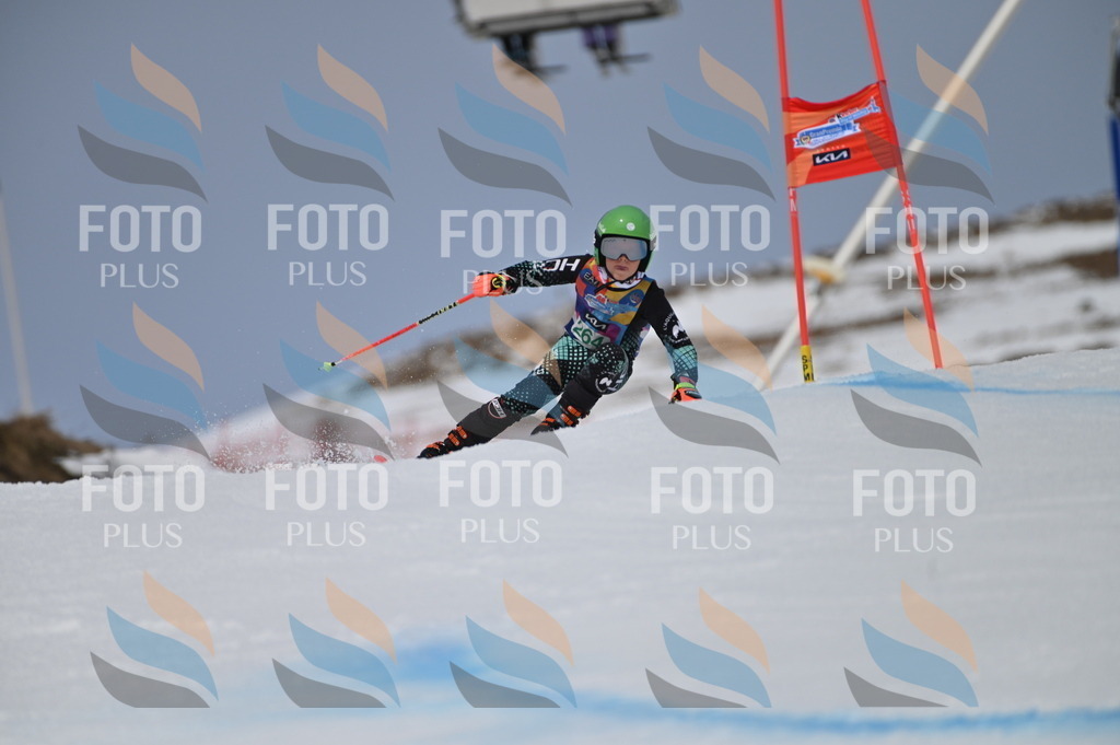 BGV_5231 | holidayphoto