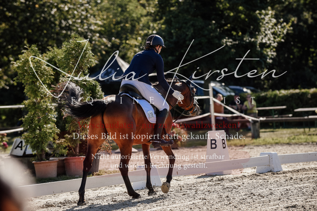 DSC_0289 | Pferde- und Turnierfotografie in Westsachsen. Pferdeportraits, Auftragszeichnungen und intuitive Kunst.