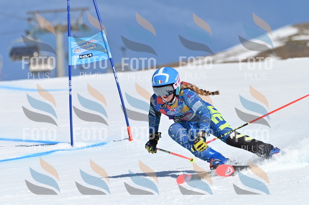 BGV_8521 | holidayphoto