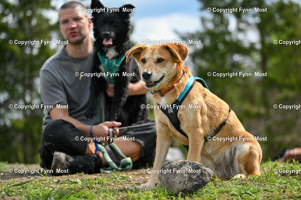 DSC_3817 | Hallo und herzlich Willkommen auf meiner Shop-Seite Fynn Most.

Ich wünsche Dir viel Spaß beim stöbern durch die Bilder, wenn Du Fragen hast oder Bilder vermisst, kannst du mir gerne eine Nachricht schreiben. - Realisiert mit Pictrs.com