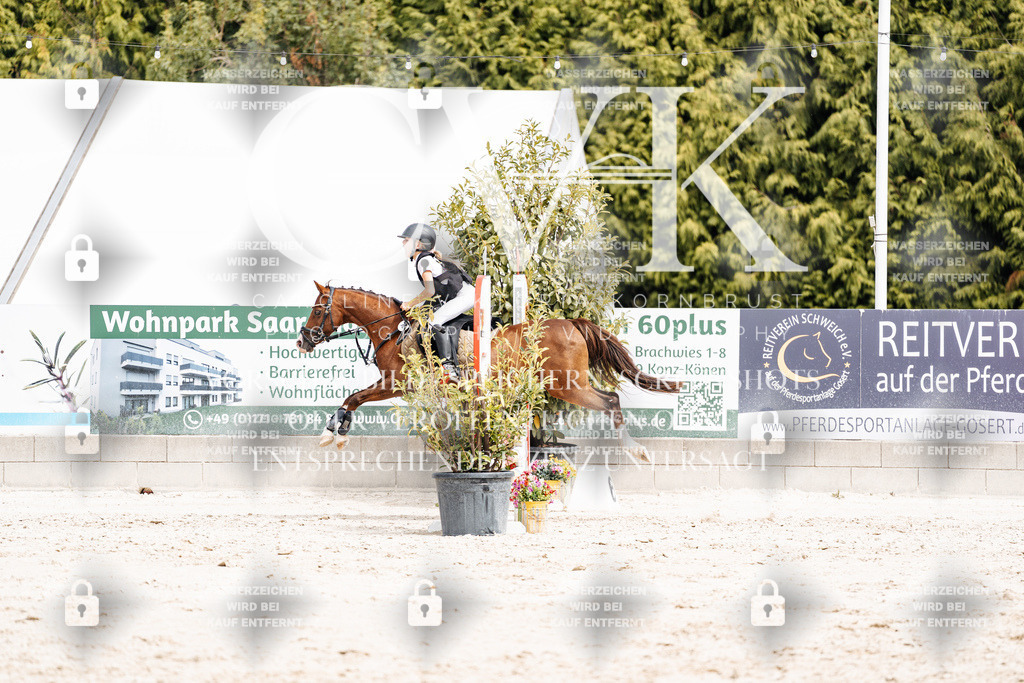 CK906777 | Turnierfotografie Pferdefotografie Trier Rheinland-Pfalz Pferdesport Reitsport Tierfotografie Sportfotografie Pferdevideo Pferdevideografie Equestrianvideography equestrianphotography  - Realisiert mit Pictrs.com
