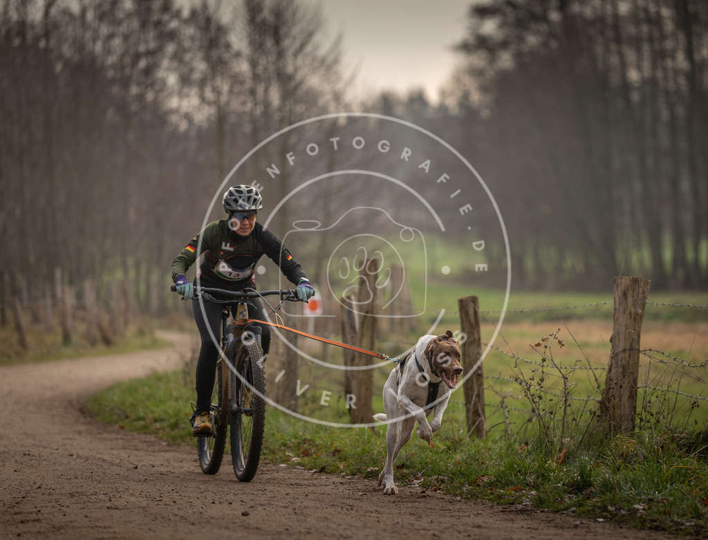 Pfotenfotografie_DV3A1802 | Hundefotografie, Tierfotograf, Pfotenfotografie, Fotoshooting Hund, Hunde Portrait, Hundesport, Hundeportraits, Heideshooting, Hunde, Sportfotograf, Hundefotograf, Turnierhundsport, THS,  - Realisiert mit Pictrs.com