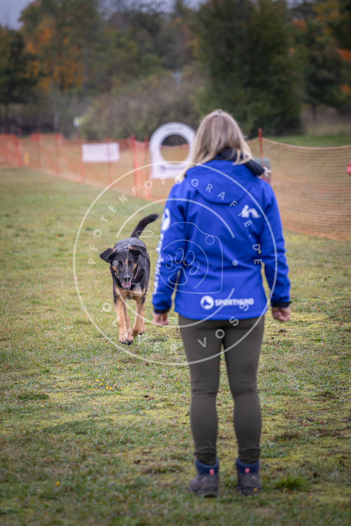 Pfotenfotografie_DV3A9599 | Hundefotografie, Tierfotograf, Pfotenfotografie, Fotoshooting Hund, Hunde Portrait, Hundesport, Hundeportraits, Heideshooting, Hunde, Sportfotograf, Hundefotograf, Turnierhundsport, THS,  - Realisiert mit Pictrs.com