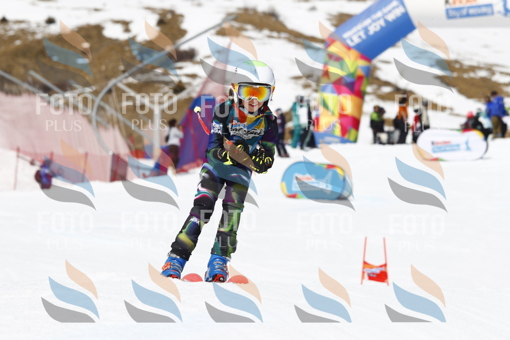 _U3G8268 | holidayphoto