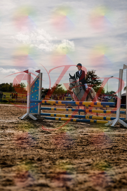 2026_10_03_Siefer-Hof_155119_Z63_10222388 | Professionelle Reitsport-, Turnier- und Eventfotografie von Robert Broda. Galerien mit ausgewählten und bearbeiteten Bildern direkt online ansehen und bestellen.