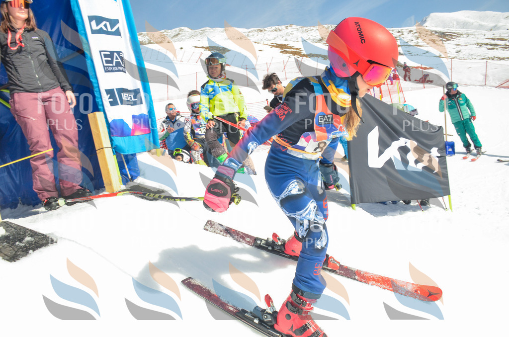 _ELE5590 | holidayphoto