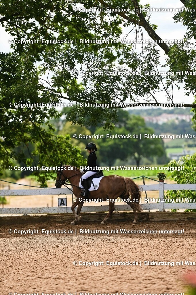 20230716_10-3_Reiter-WB Schritt - Trab - Galopp_0163 | equistock