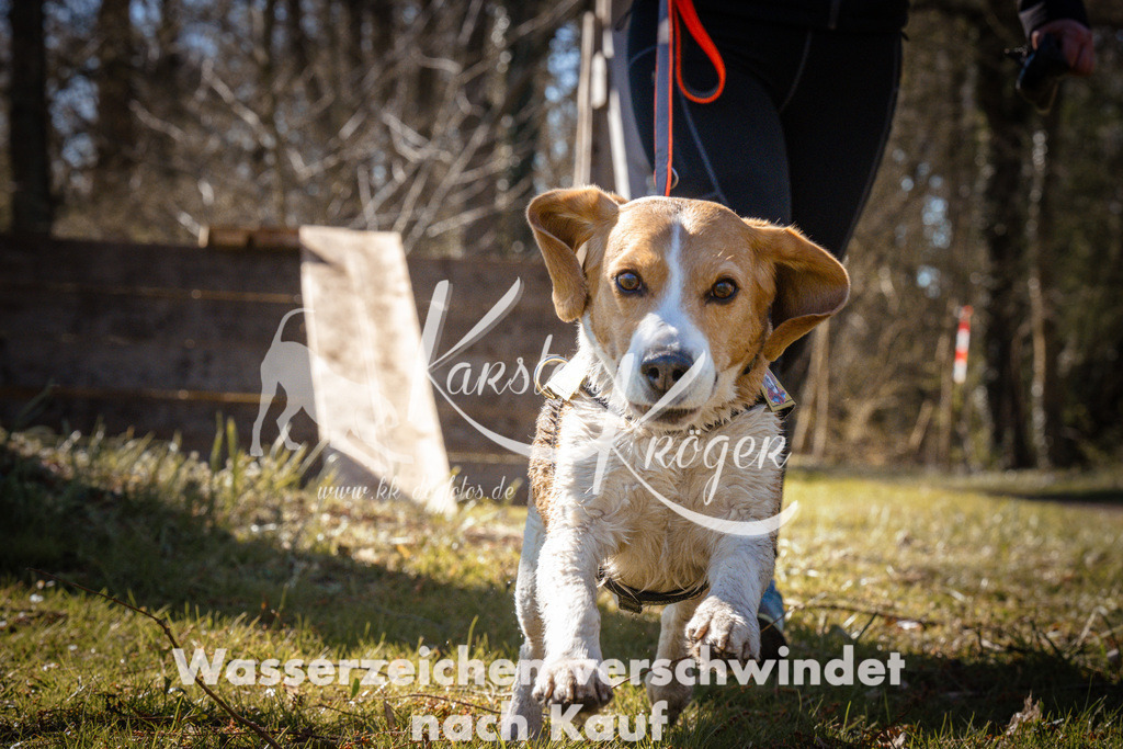 0930_ZZ96019 | kk-dogfotos